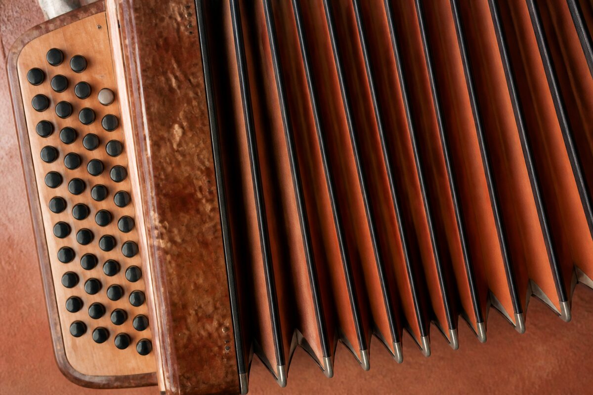 The used Italian accordion checklist: original editorial photograph for the Italian accordion reference